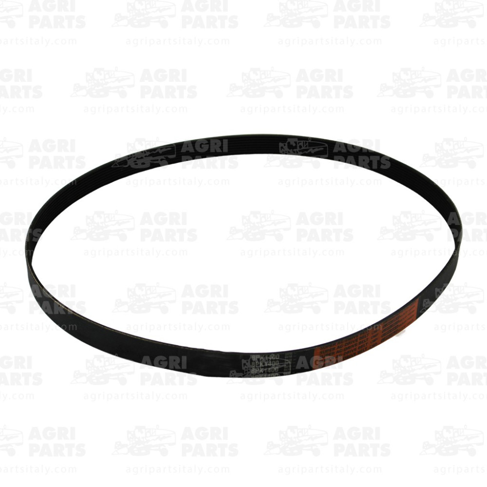 N308133 - CINGHIA - N308133JD