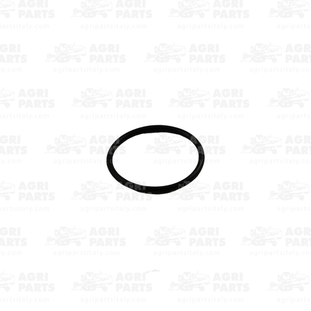 1033740 - GUARNIZIONE - 0001033740CL