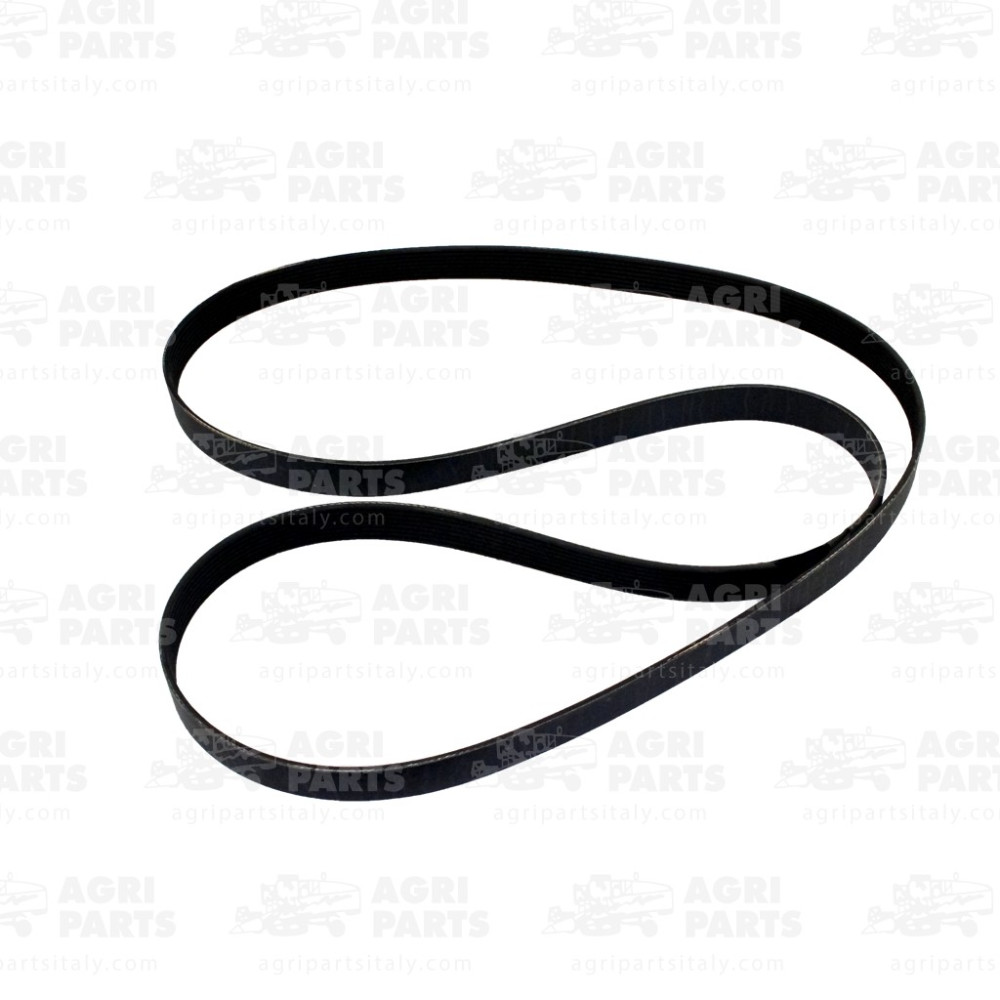 R521053 - CINGHIA - R521053JD