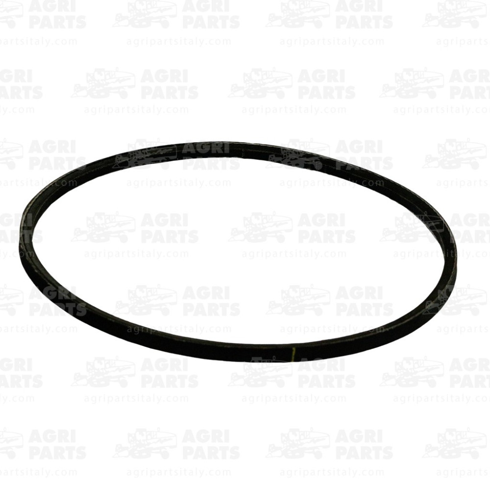 Z32190 - CINGHIA - Z32190JD