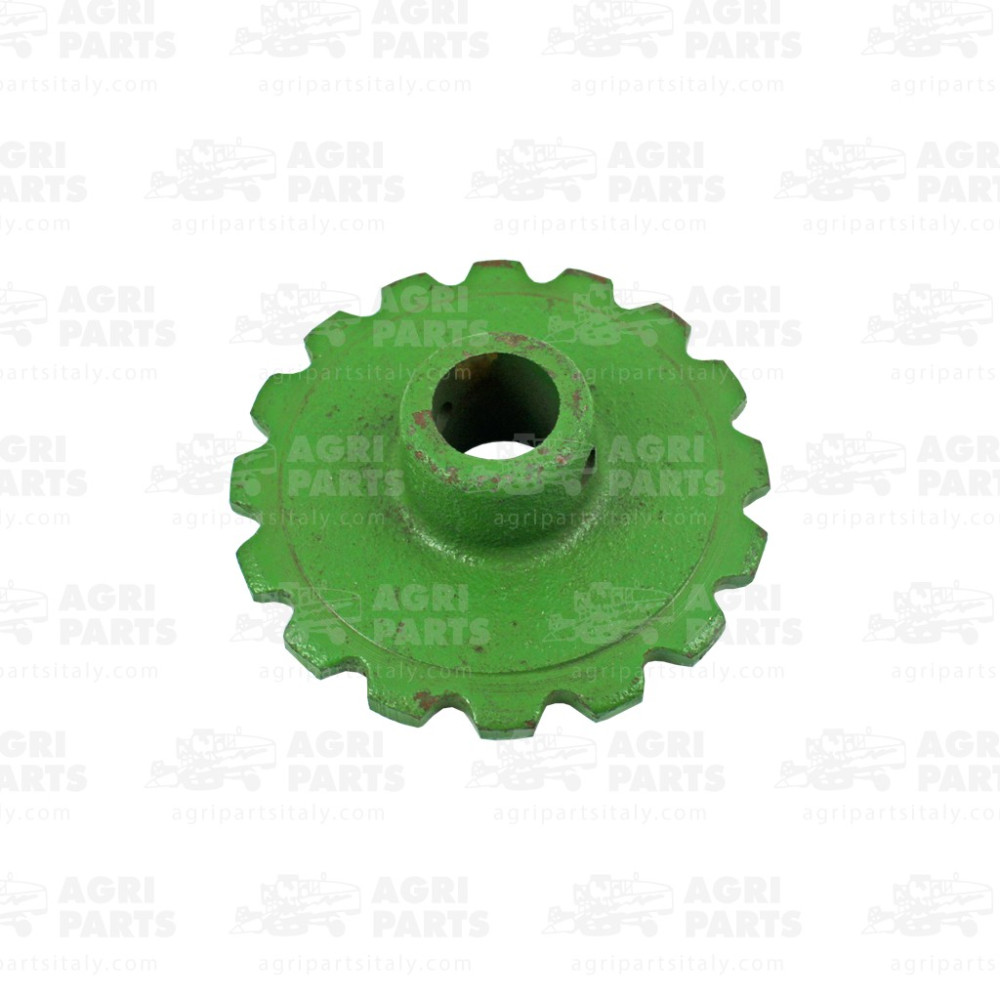 Z10885 - PIGNONE - Z10885JD