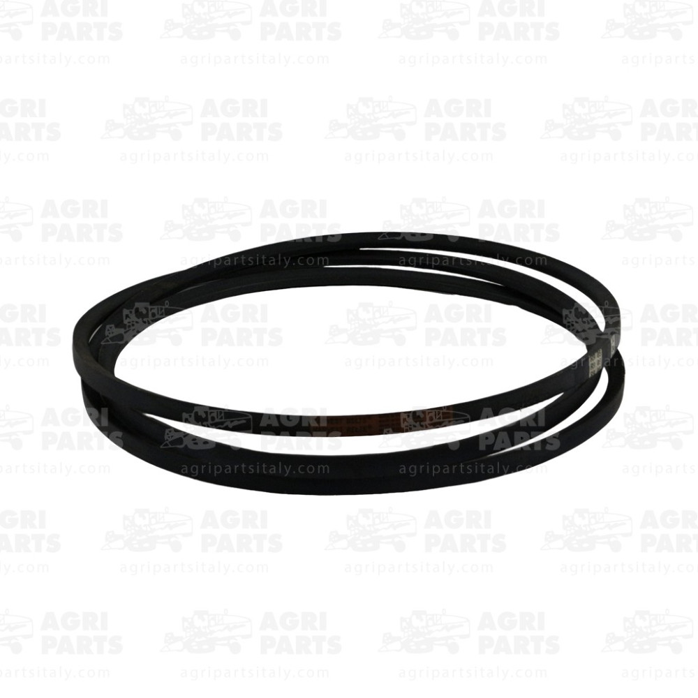 700711883 - CINGHIA - 700711883CNH