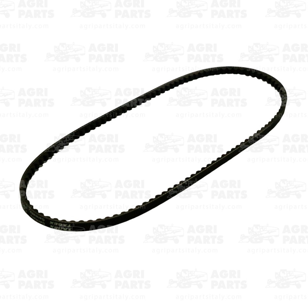 Z38692 - CINGHIA - Z38692JD