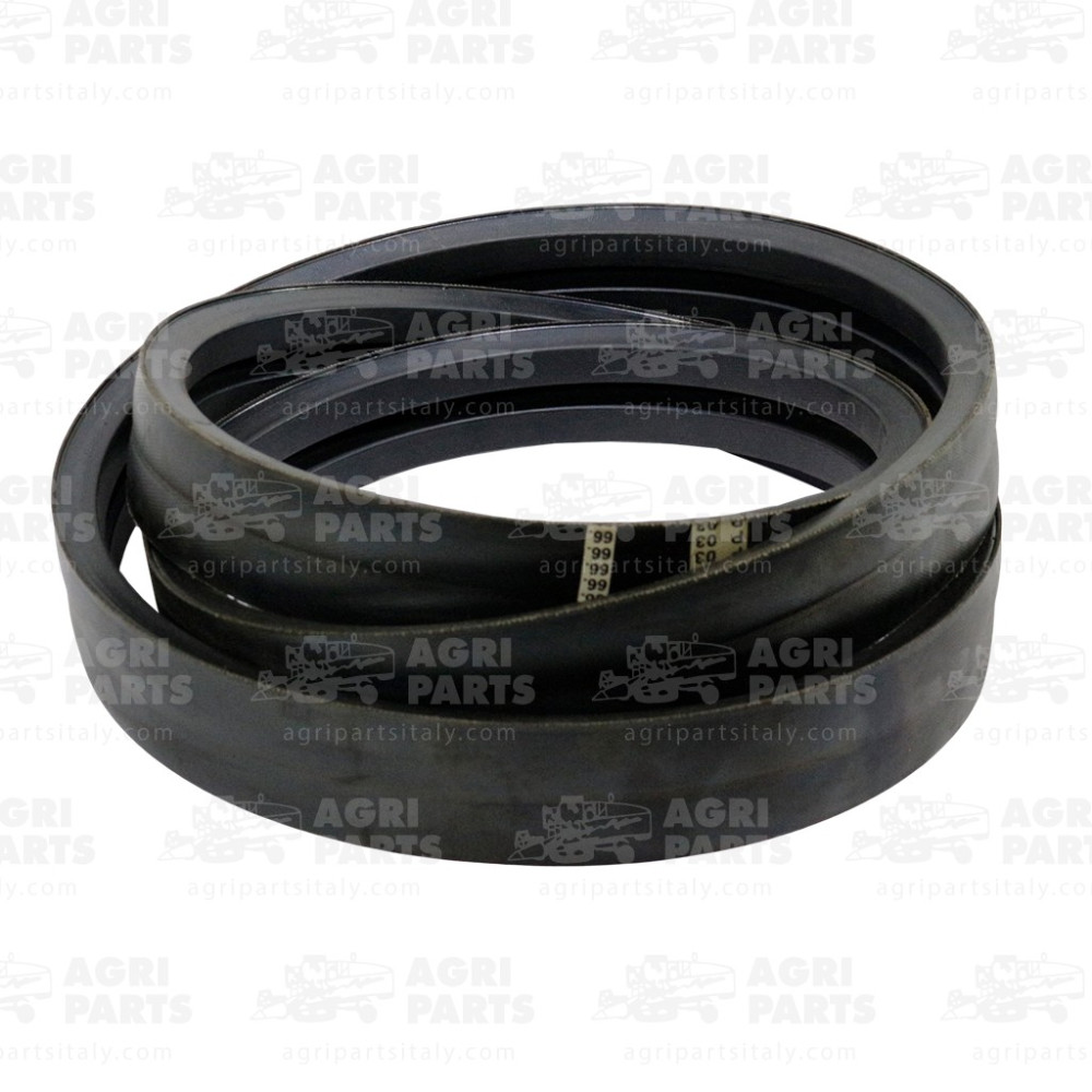 H176766 - CINGHIA (2HC) - H176766JD