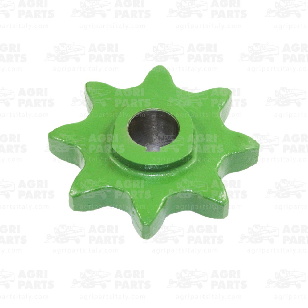 Z11211 - PIGNONE - Z11211JD