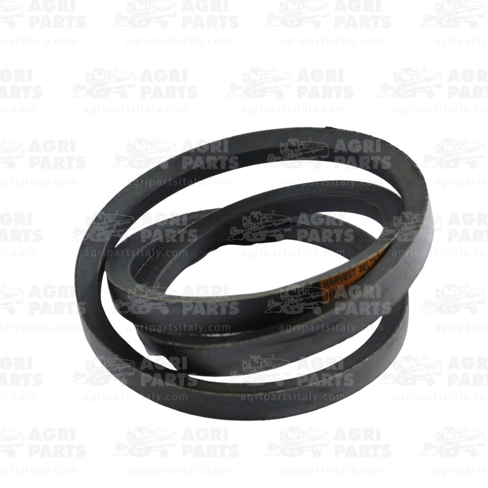 Z34828 - RIEMEN - Z34828JD