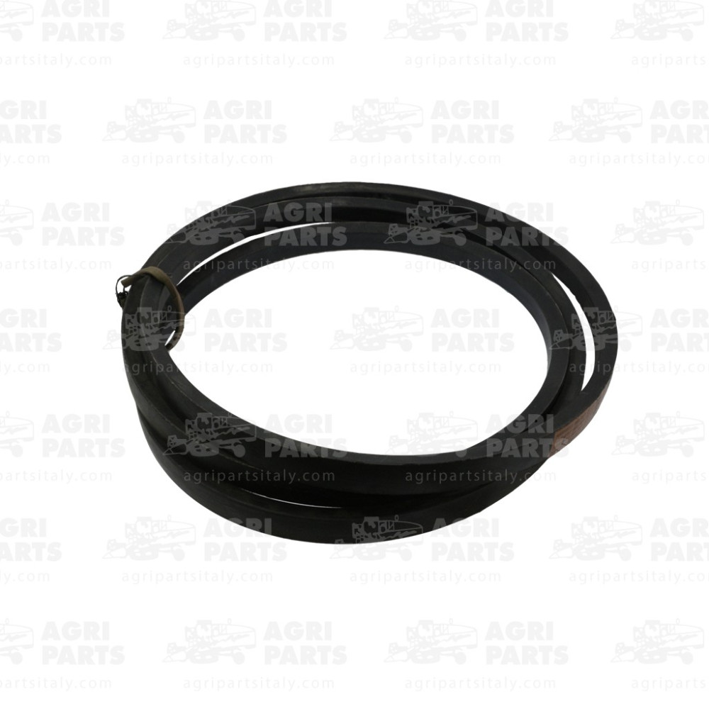 6031220 - RIEMEN - 0006031220CL