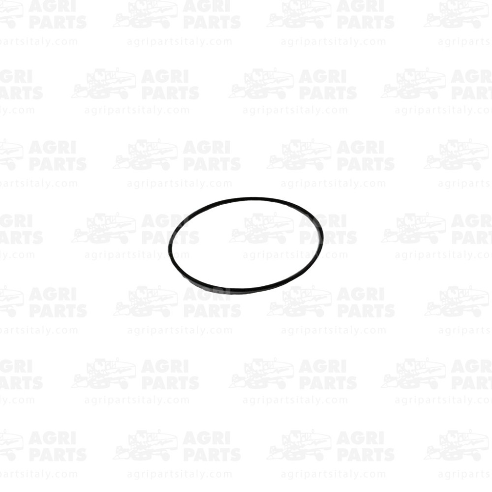 28107 - ANELLO O-RING - 28107CA