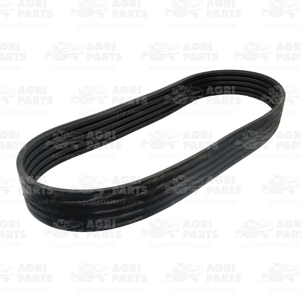 18AP011918 - CINGHIA MULTIPLA - 18AP011918