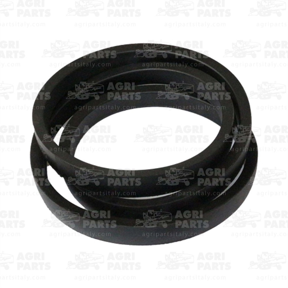 18AP011978 - CINGHIA - 18AP011978