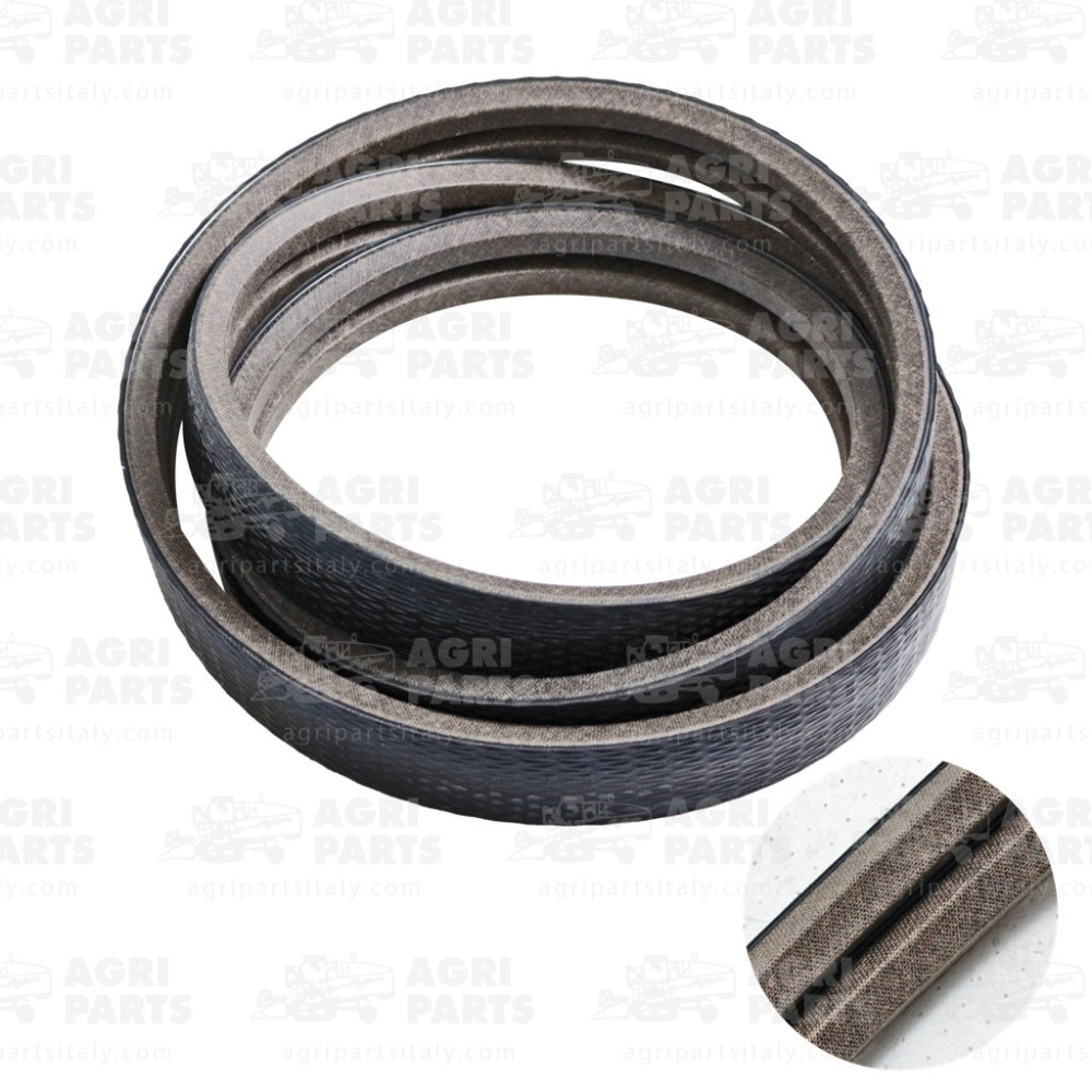 18AP011998 - COURROIE - 18AP011998