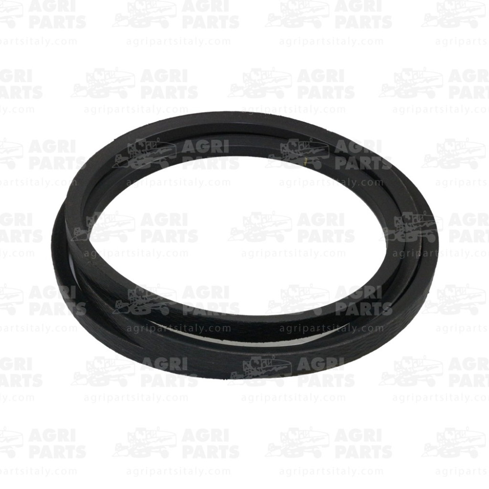 18AP012018 - CINGHIA - 18AP012018