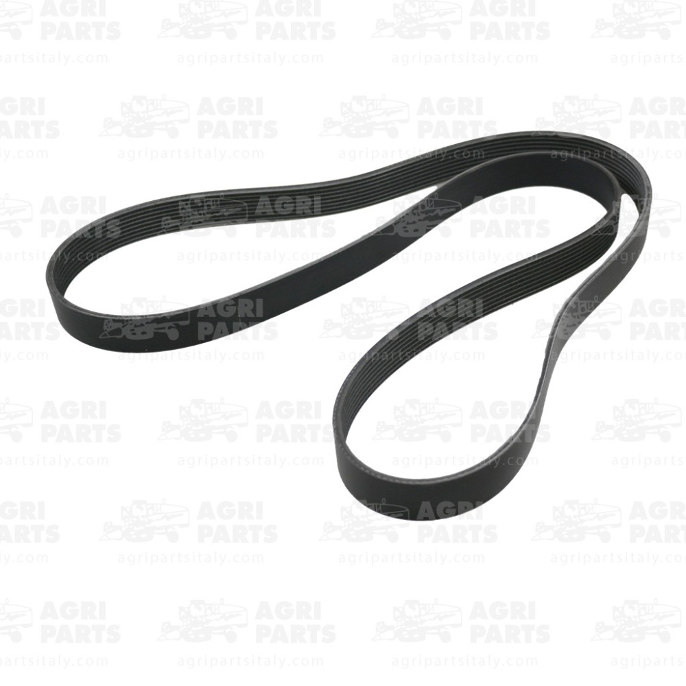 V685081730 - RIEMEN - V685081730AG