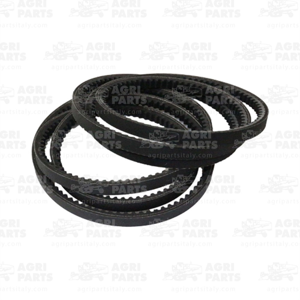 18AP012079 - SET CINGHIE - 18AP012079