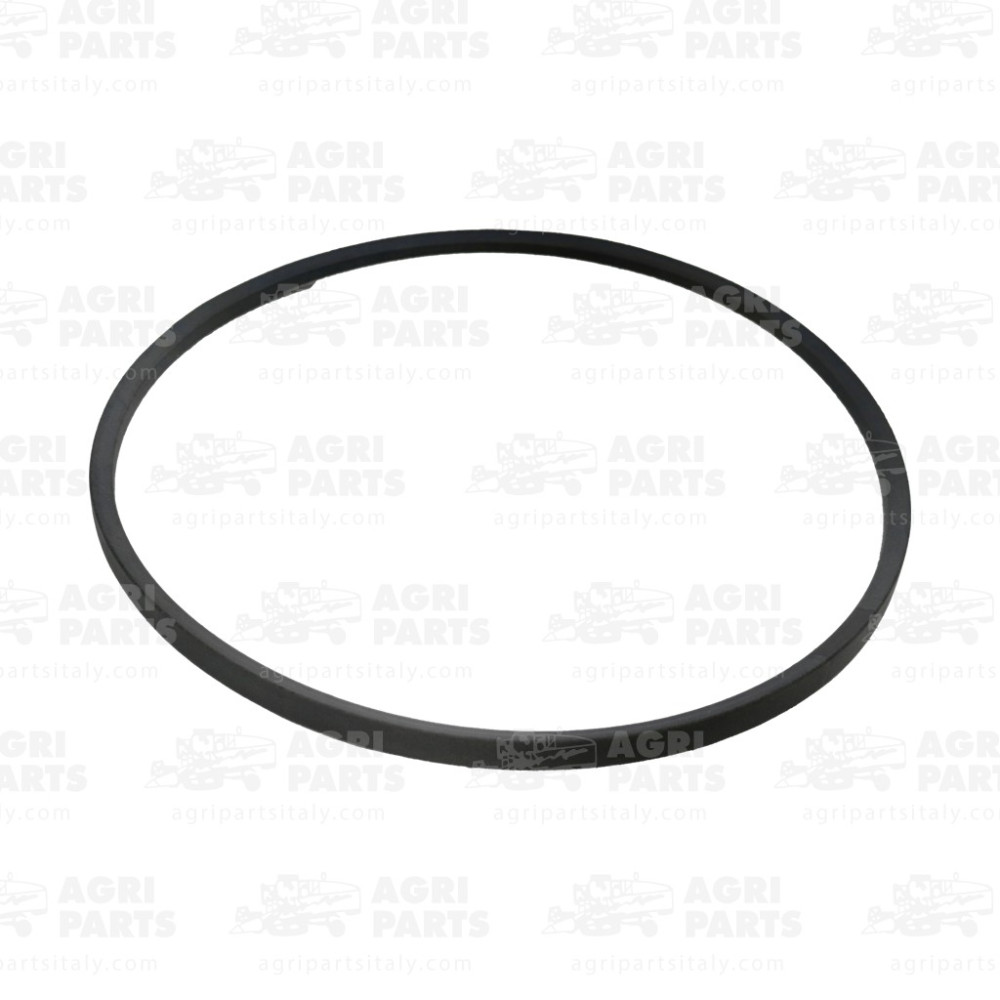 18AP012116 - CINGHIA - 18AP012116