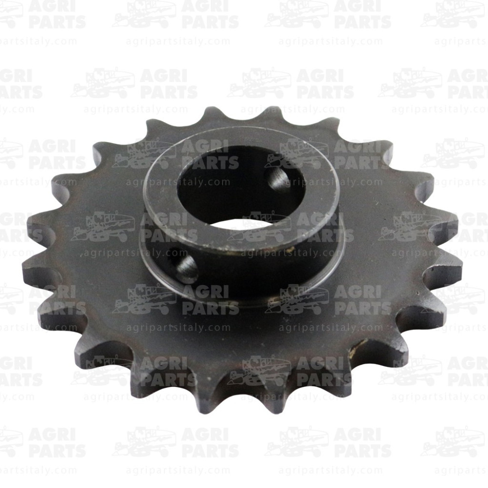 5556101 - PIGNON - 0005556101CL