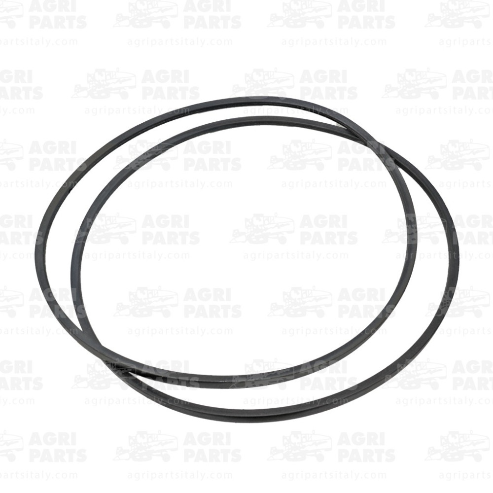 18AP012181 - COPPIA CINGHIE - 18AP012181