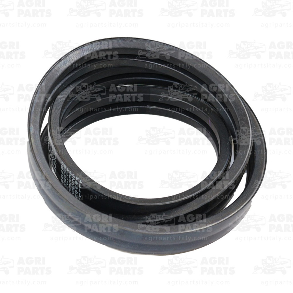 19AP012597 - RIEMEN - 19AP012597