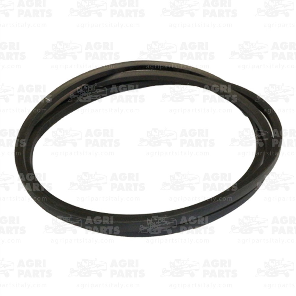 19AP012599 - CINGHIA - 19AP012599