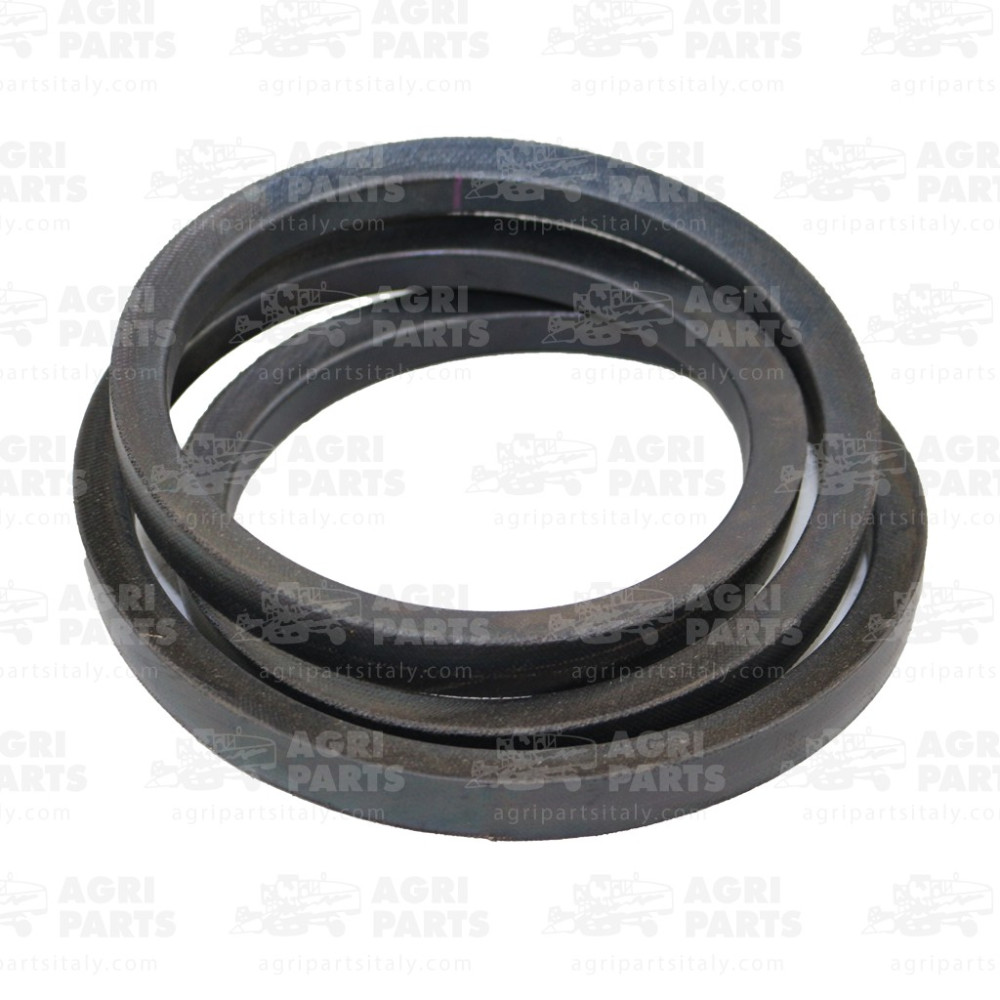 5320111 - RIEMEN - 0005320111CL