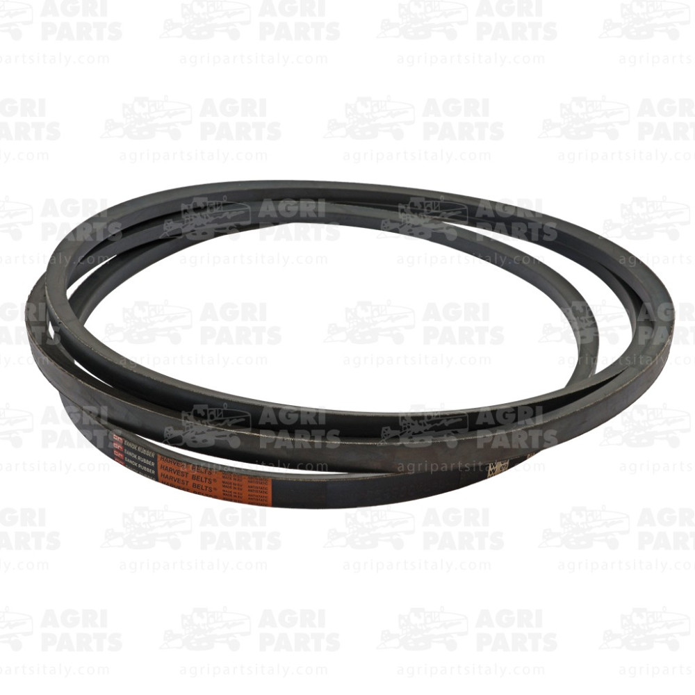 756900 - CINGHIA - 756900CNH