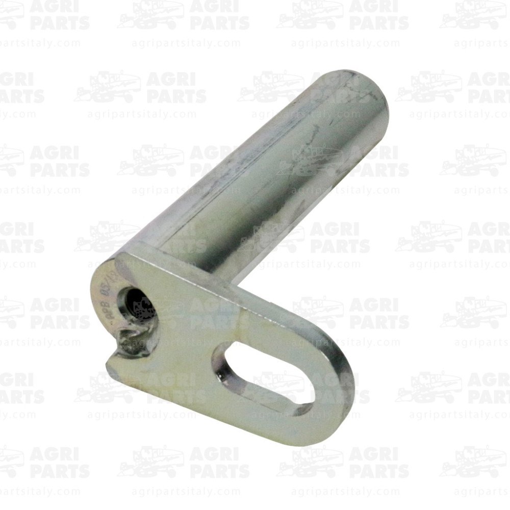 195941A1 - SPINA - 195941A1CNH