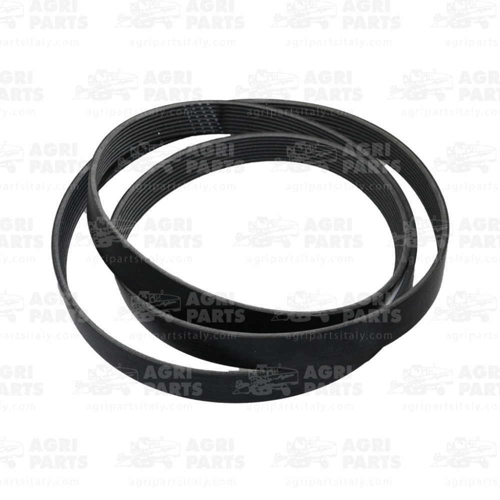 H238822 - RIEMEN - H238822JD