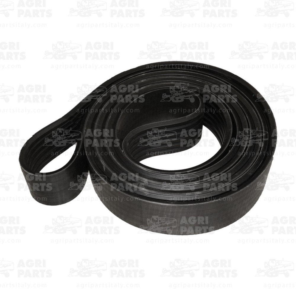 19AP012972 - CINGHIA MULTIPLA - 19AP012972