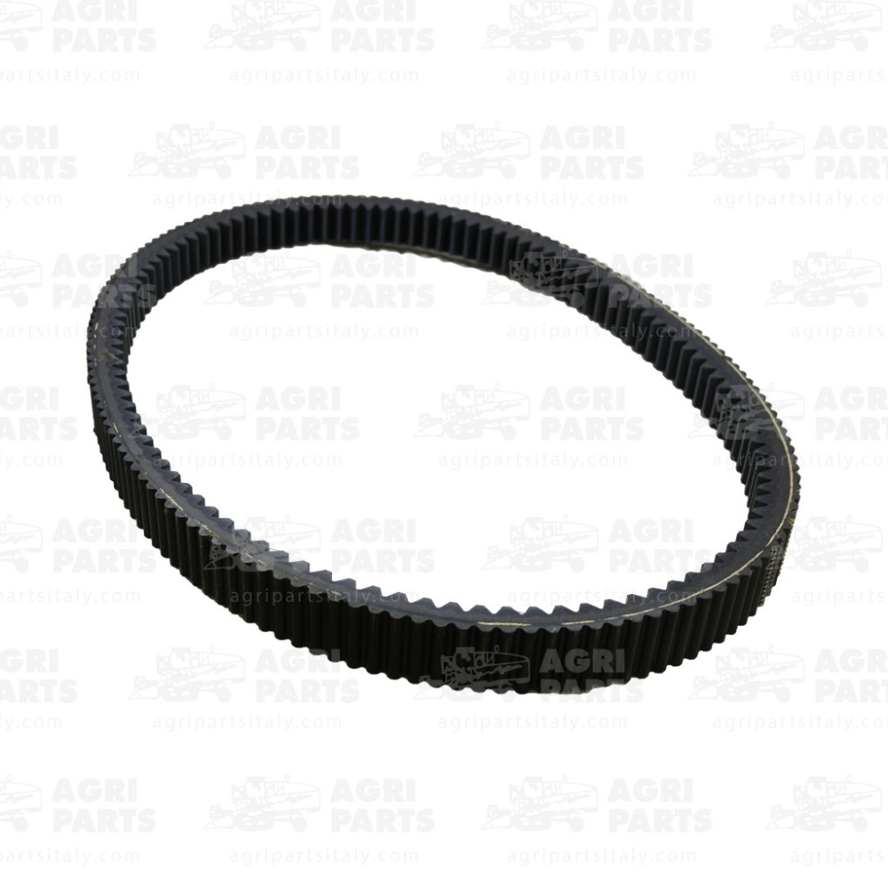 619190 - CINGHIA - 0619190SA