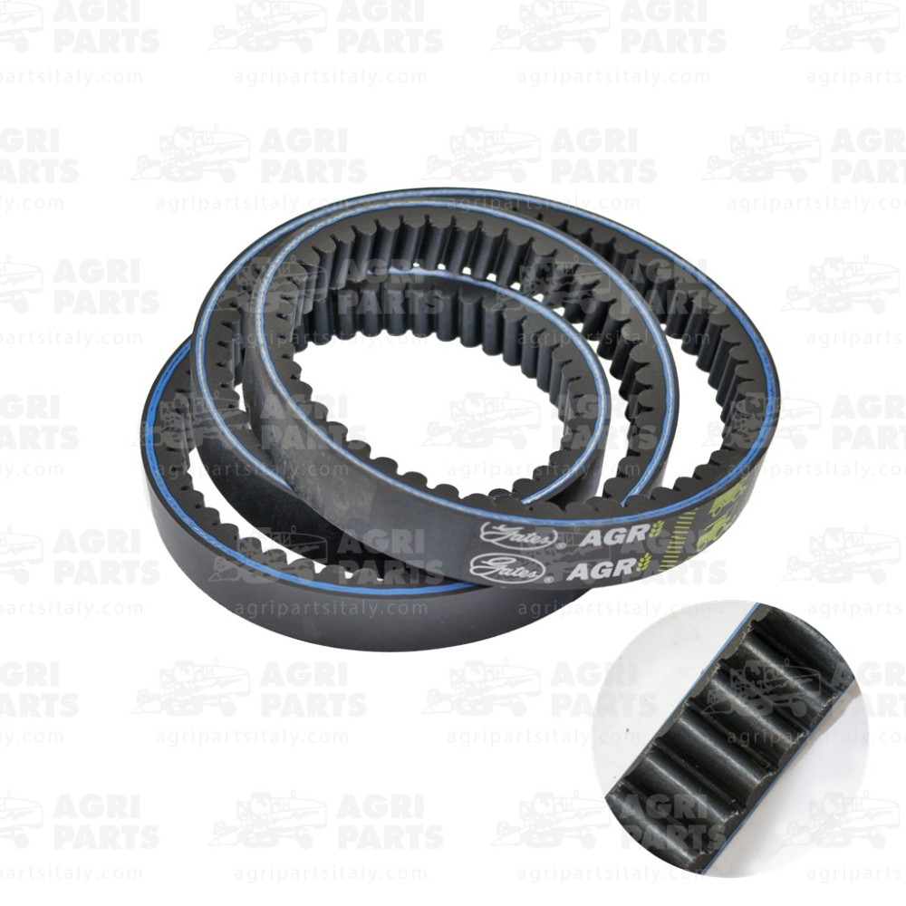 1145369 - CINGHIA - 01145369DF