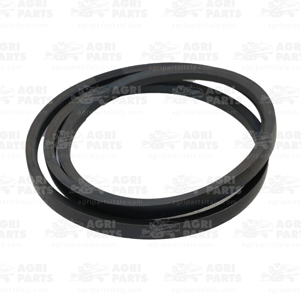 19AP013199 - CINGHIA - 19AP013199