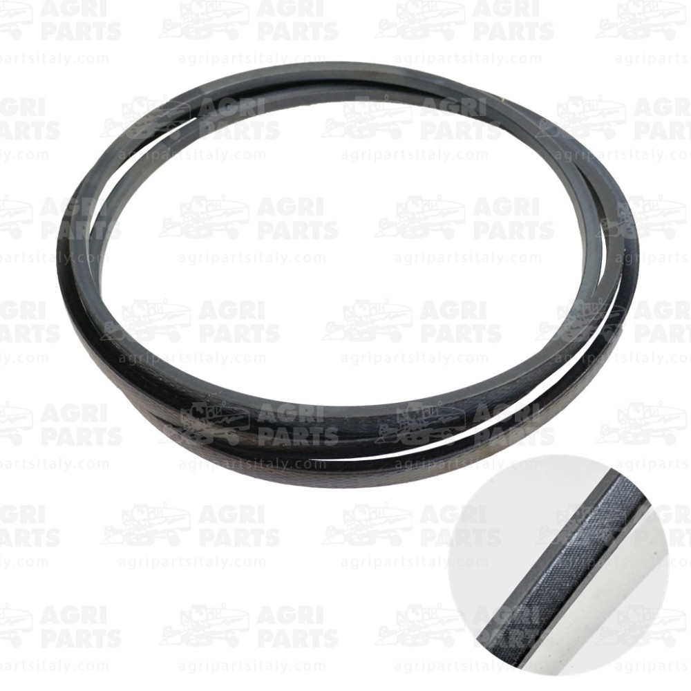 19AP013216 - CINGHIA - 19AP013216