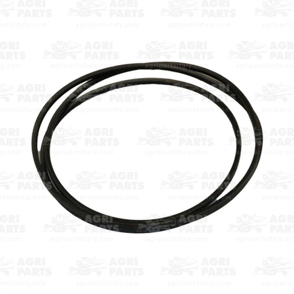 19AP013219 - CINGHIA - 19AP013219