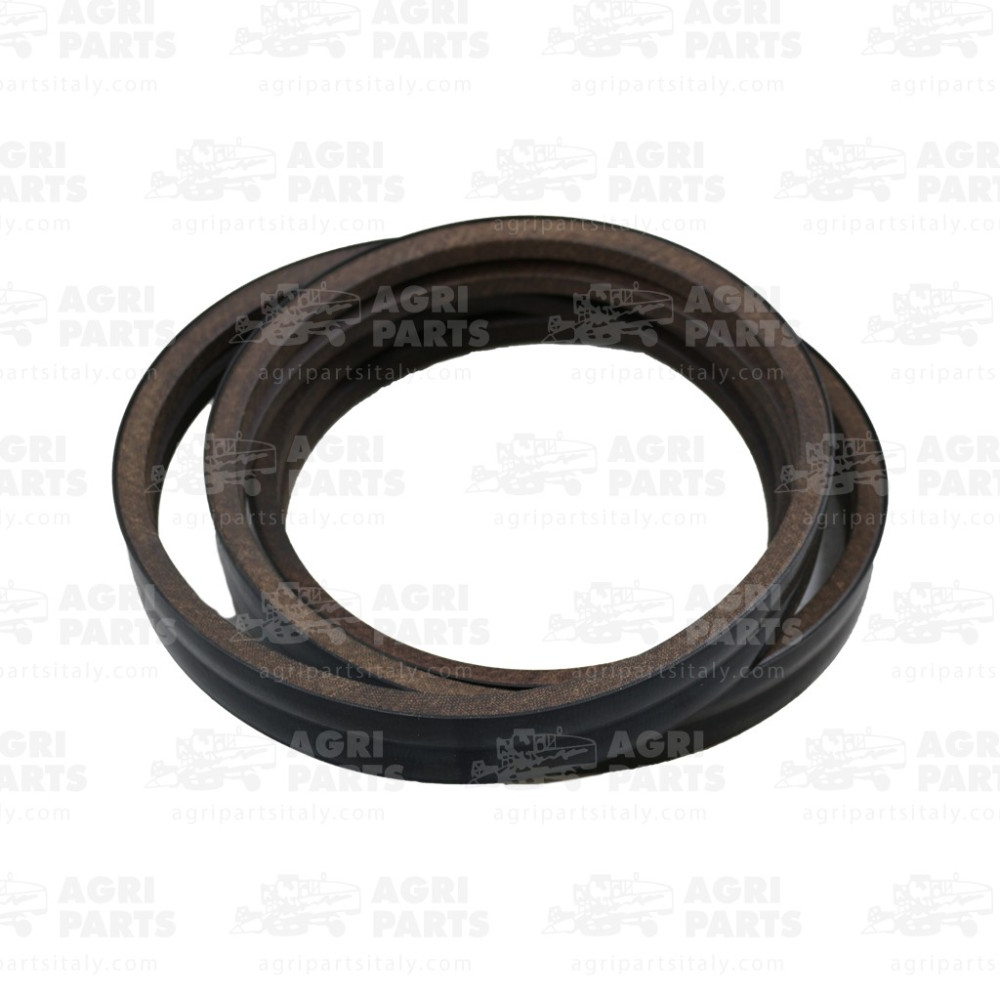 19AP013251 - CINGHIA - 19AP013251