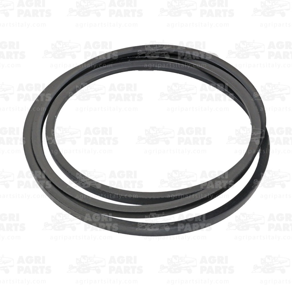 19AP013254 - COURROIE - 19AP013254