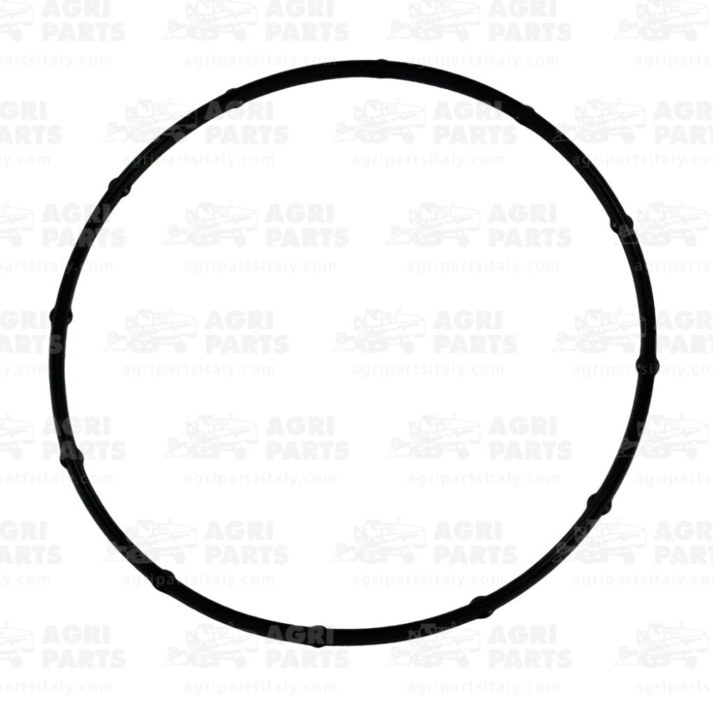 498566100 - RING MIT DICHTUNG - 498566100CM