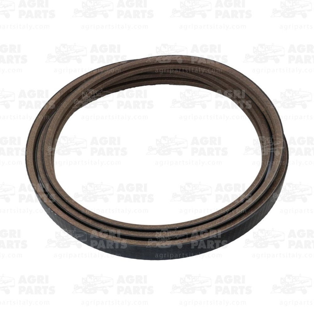 19AP013281 - COURROIE - 19AP013281