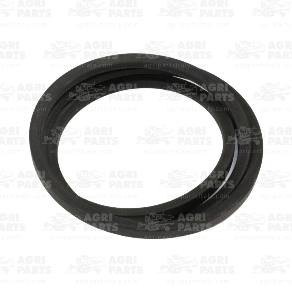 19AP013283 - CINGHIA - 19AP013283