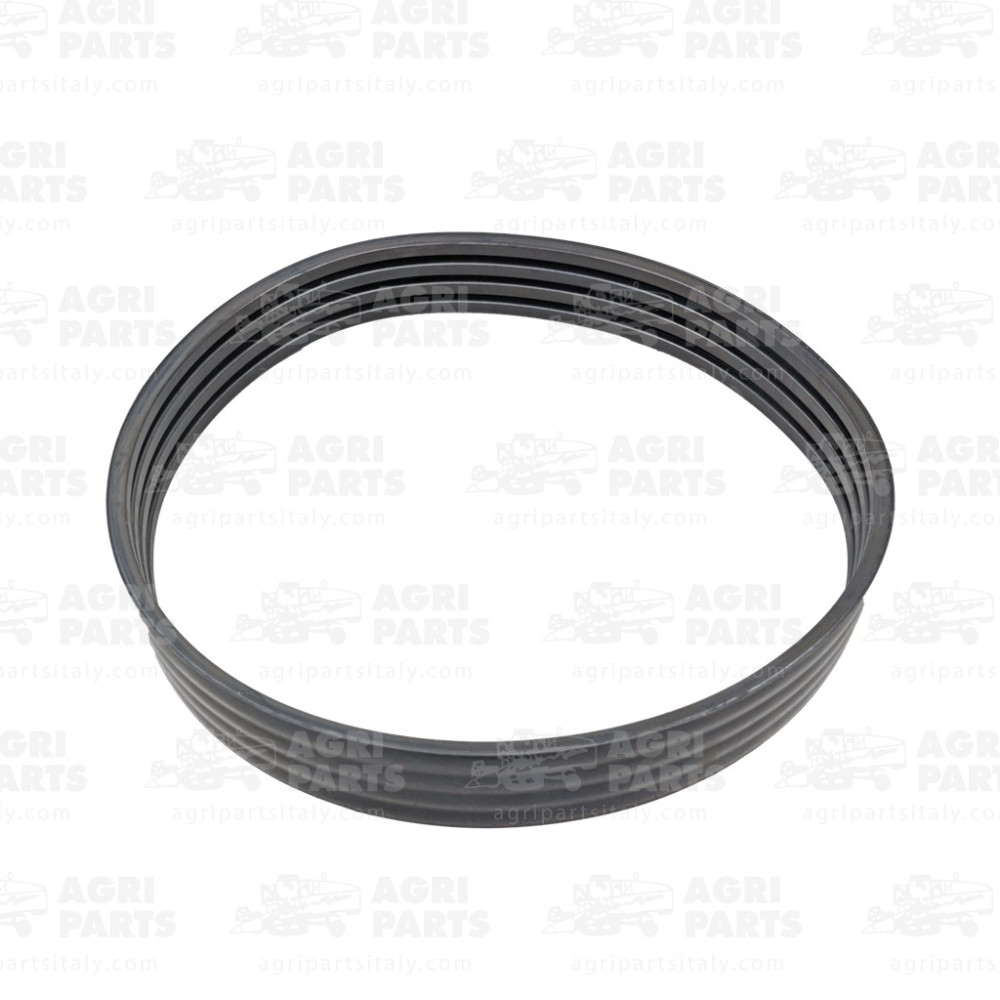 19AP013298 - CINGHIA - 19AP013298