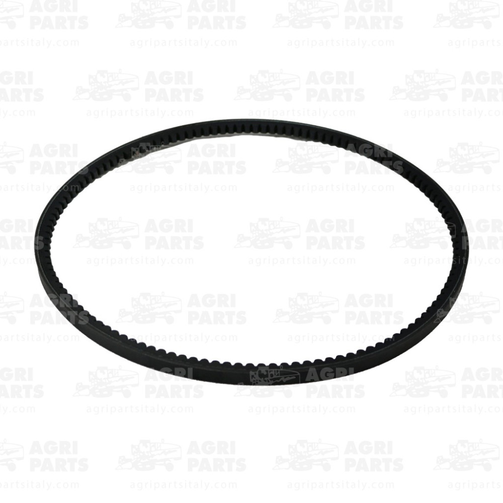 19AP013301 - CINGHIA - 19AP013301