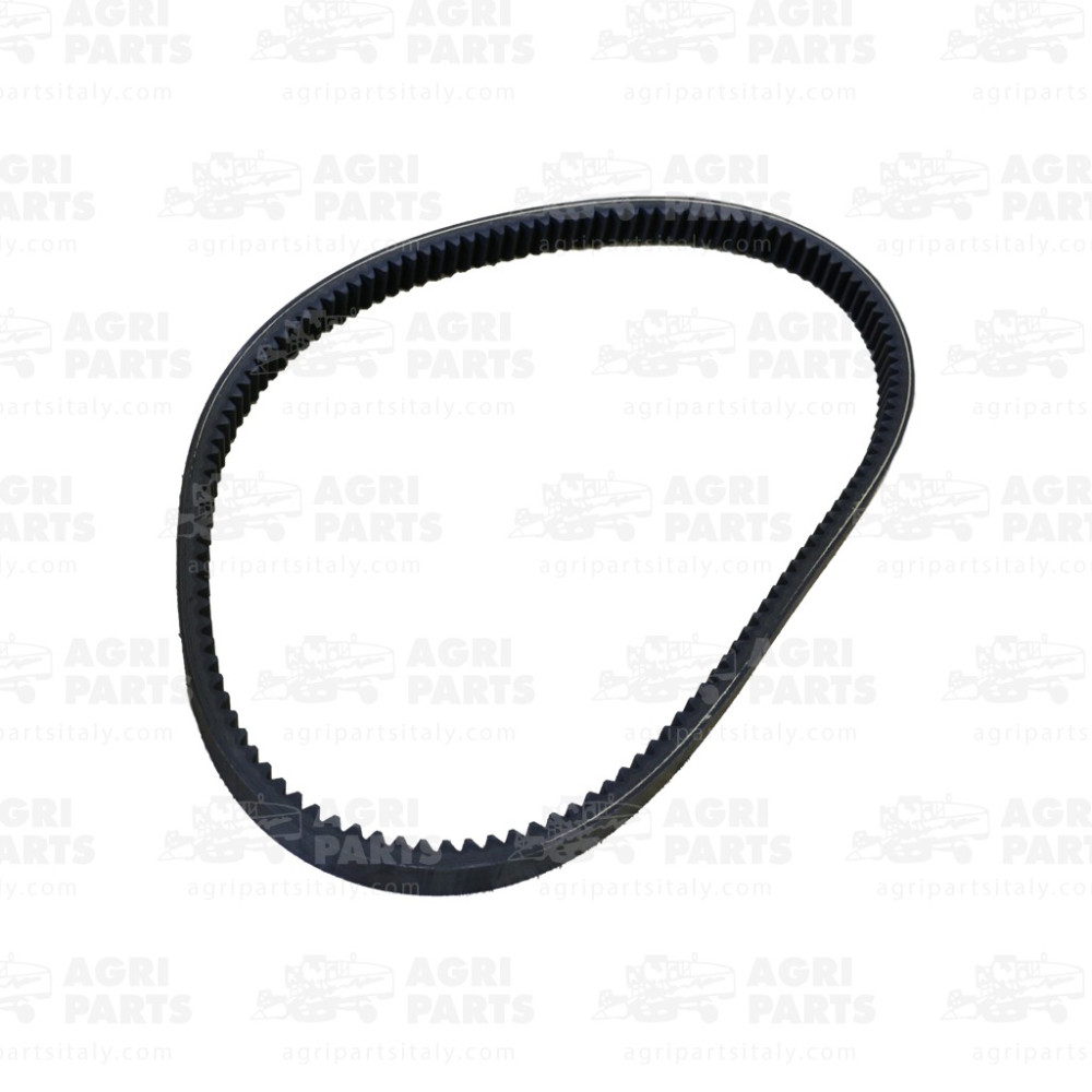 717700 - CINGHIA - 717700CNH