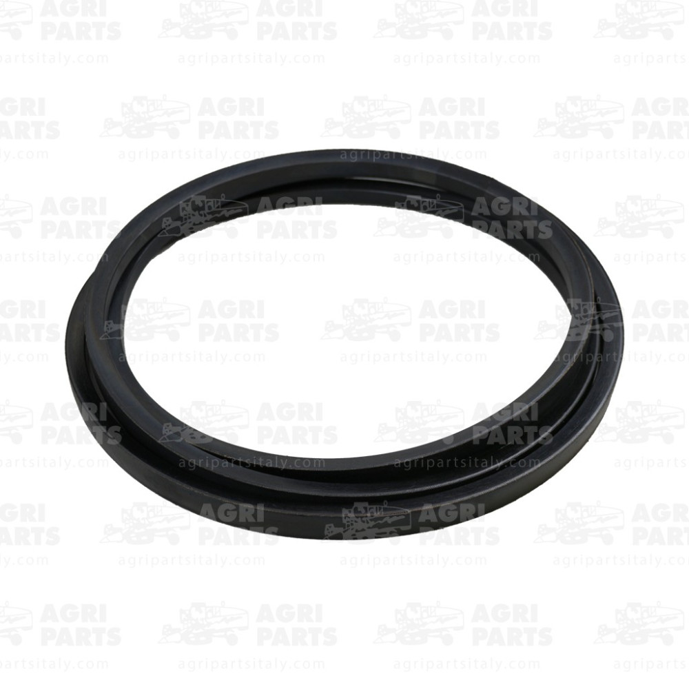 19AP013307 - CINGHIA - 19AP013307