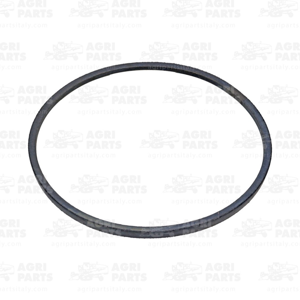 19AP013318 - RIEMEN - 19AP013318