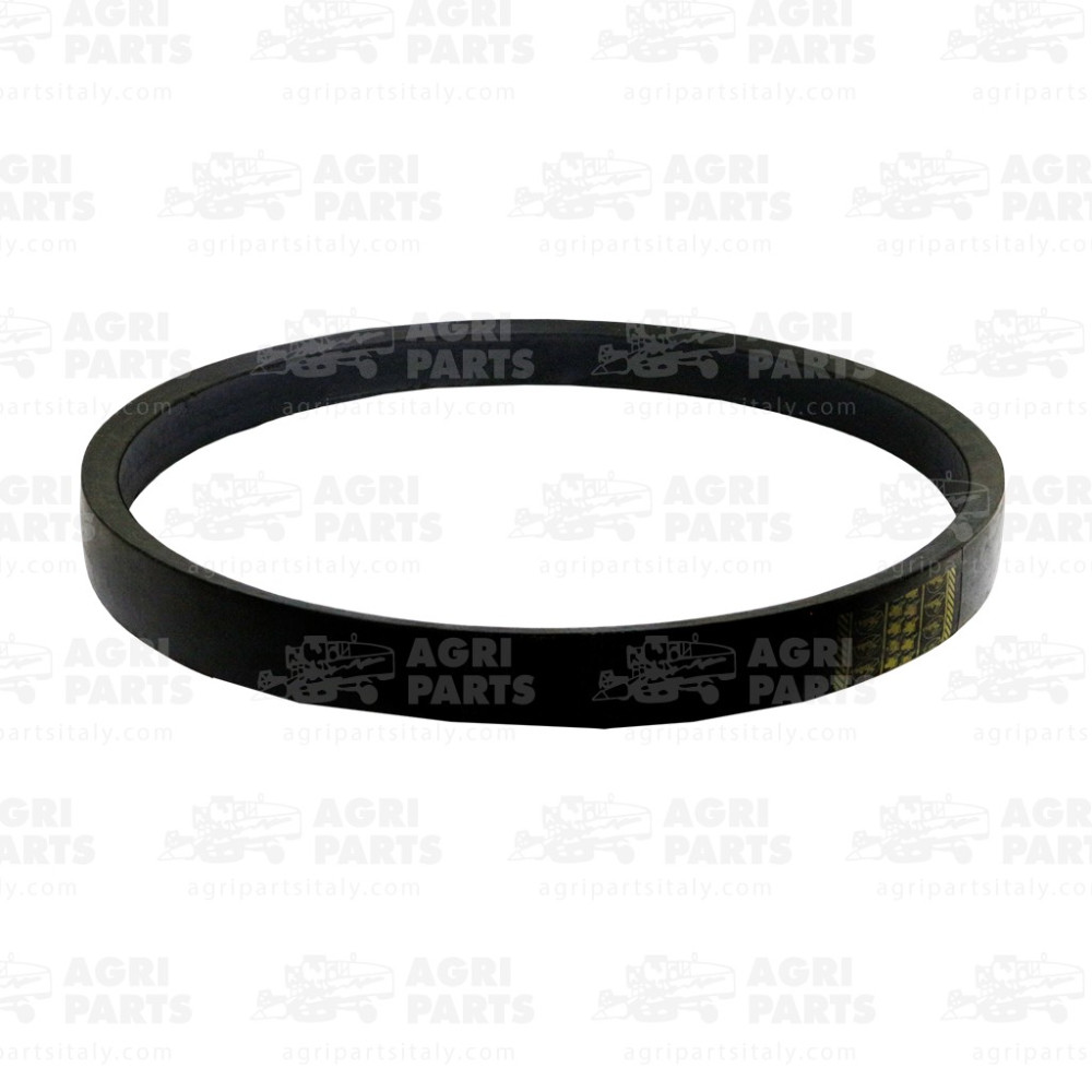 19AP013320 - CINGHIA - 19AP013320