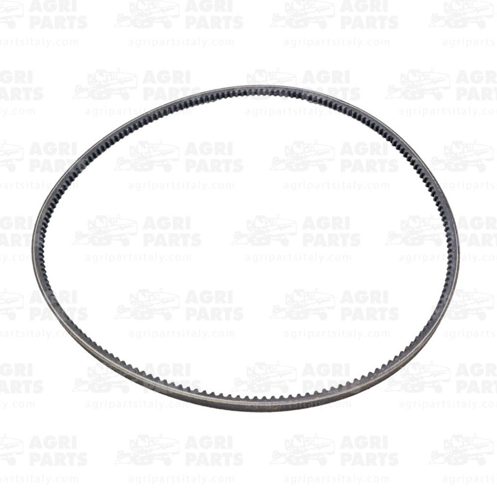 19AP013344 - CINGHIA - 19AP013344