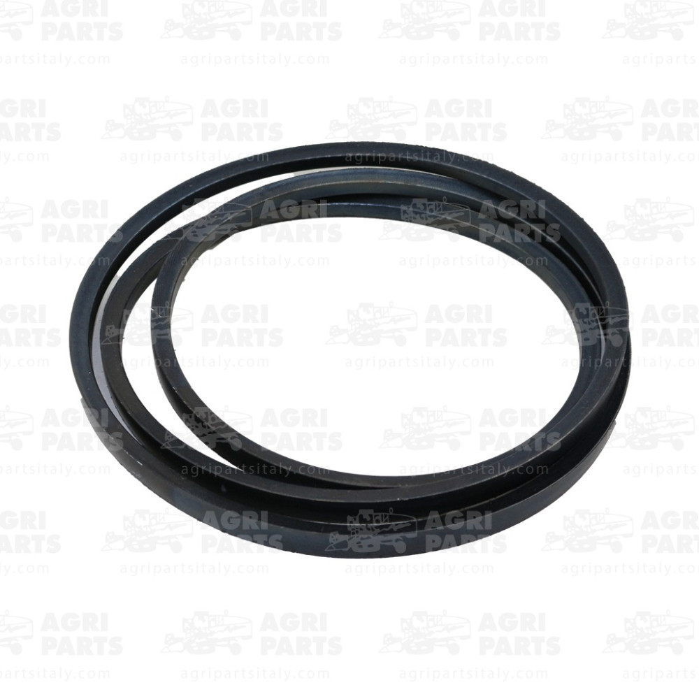 19AP013376 - CINGHIA - 19AP013376