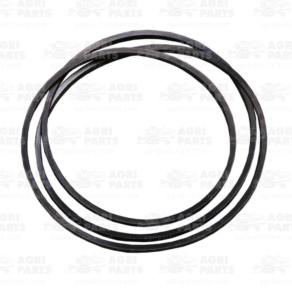 19AP013381 - COURROIE - 19AP013381