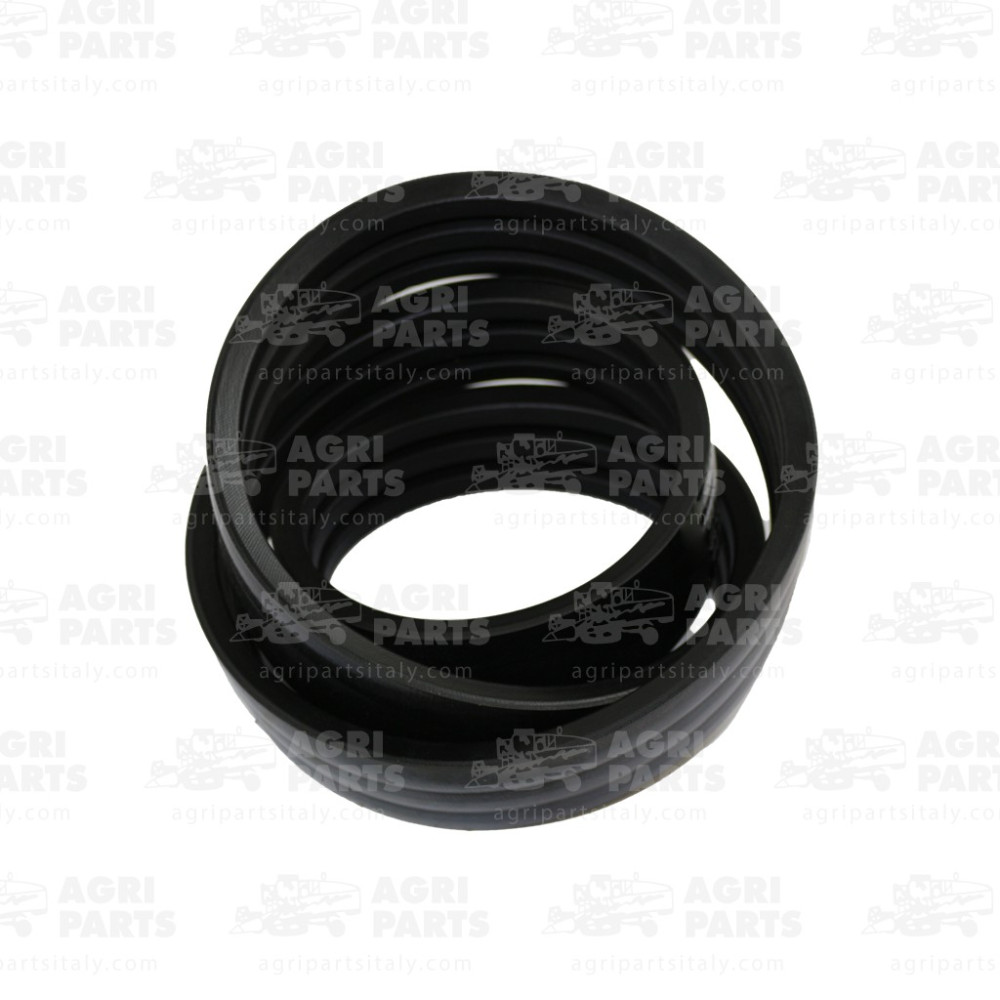 19AP013385 - CINGHIA - 19AP013385