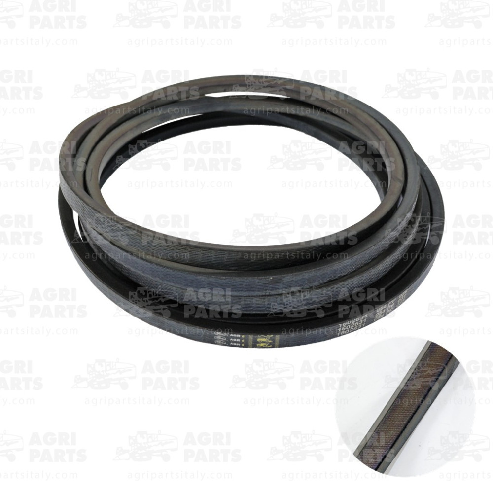 19AP013387 - CINGHIA - 19AP013387