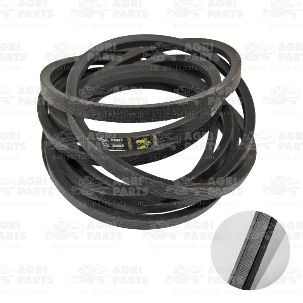 19AP013496 - CINGHIA - 19AP013496